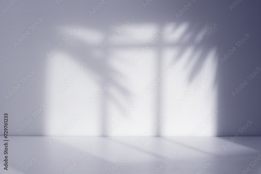 Poster white empty studio room with palm leaf shadow