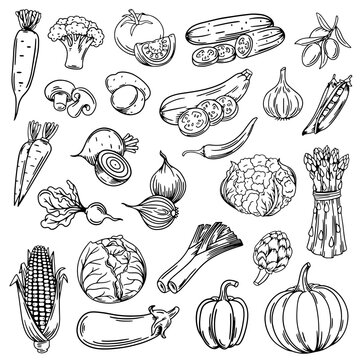 Vegetable seamless pattern. Set with vegetables. Background illustration with vegetables.
