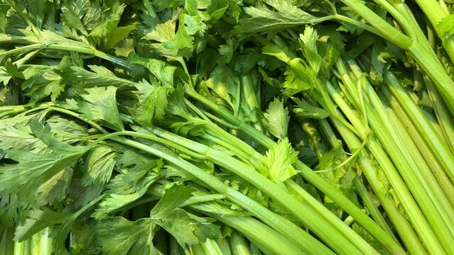 celery vegetables and fruits on the counter in a supermarket or market in Vietnam Closeup of organic green celery harvested on vegetable farm. Harvest time. High quality 4k footage