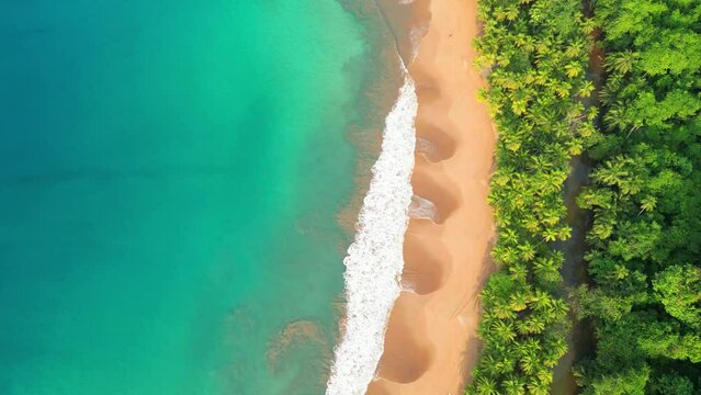 Aerial view from one of the most beautiful beach at Prince Island, Bom Bom beach. The amazing colors from the sea with the palm trees on the beach. São Tomé,Africa