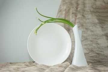 Flat surface of plate, flower pot and flower branch, simple on gray and white background