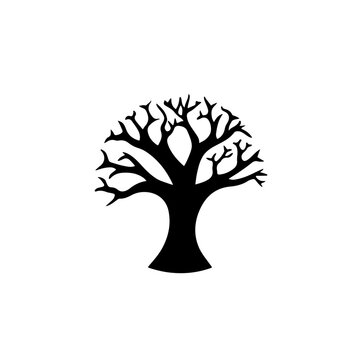 Baobab Tree Logo Monochrome Design Style
