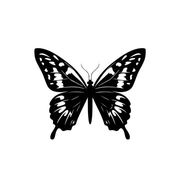 Butterflies Logo Monochrome Design Style