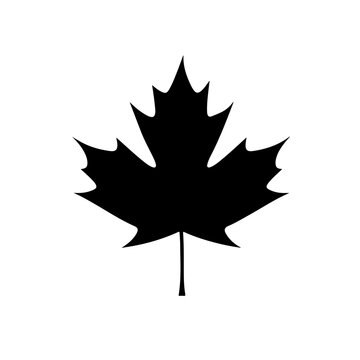 Canada Maple Leaf Logo Monochrome Design Style