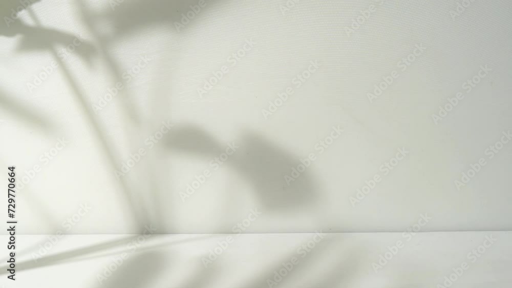 Poster white background with leaf shadow overlay