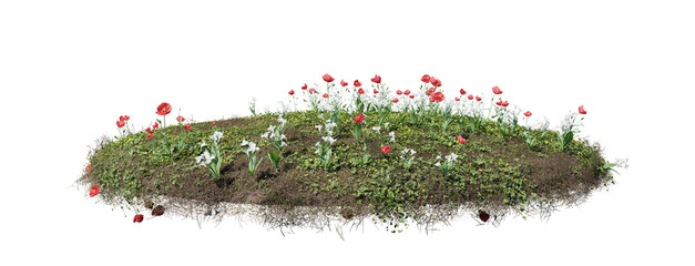 Round surface of Small Plant forest patch covered with flowers, green or dry grass isolated on transparent background. Realistic natural element for design. Bright 3d