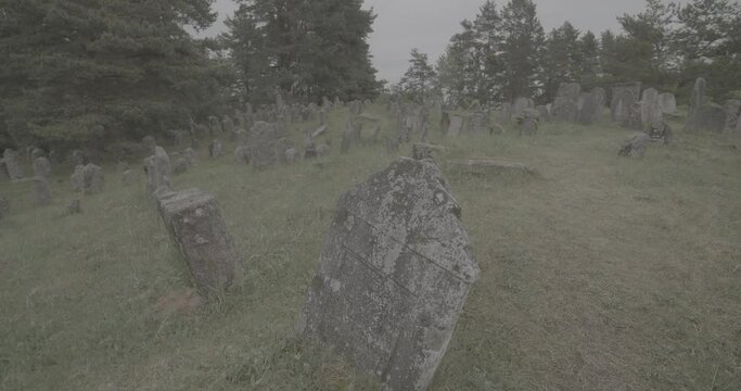 Old ancient Jewish cemetery in summer spring day. Druya, Belarus. green grass and many ancient stones. Headstone Headstones Tombstones jewish grave, clog2, clog, canon c70 c log 2.