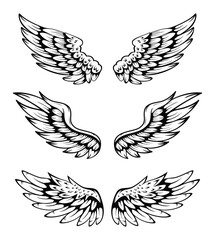Illustration Of Wings Collection Set