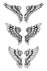 Illustration Of Wings Collection Set