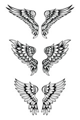 Illustration Of Wings Collection Set