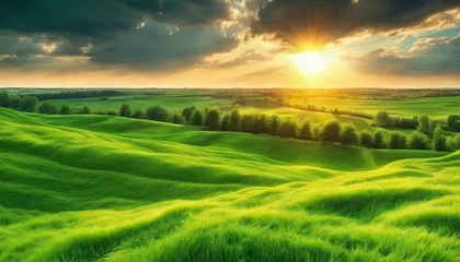Foto auf Acrylglas a sunset over a green field  with the sun shining through the clouds and the sun shining through the leaves,  wind moving green grass, panoramic view, summer scenery © Gegham