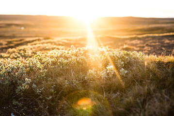 Sun Low On the Horizon At Midnight In the Arctic