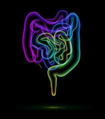 Illustration of the human colon and small intestine presented in the form of colored balloons that are stacked together to create the contours of the abdominal organs. Used in medicine, education, com