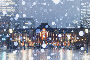 雪の東京駅