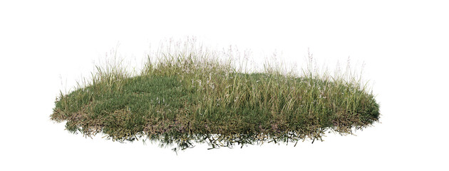 Round surface of Small Plant forest patch covered with flowers, green or dry grass isolated on transparent background. Realistic natural element for design. Bright 3d © Nawaphon