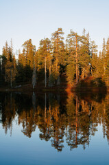 Fototapeta na wymiar Old-growth boreal forest reflected on a calm surface of a pond on a autumn evening in Riisitunturi National Park, Northern Finland