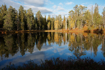 Fototapeta na wymiar Old-growth boreal forest reflected on a calm surface of a pond on a autumn afternoon in Riisitunturi National Park, Northern Finland