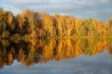 Riverside forest in vivid autumn colors. Beautiful reflections on the water surface