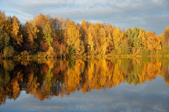 Riverside forest in vivid autumn colors. Beautiful reflections on the water surface © Esa