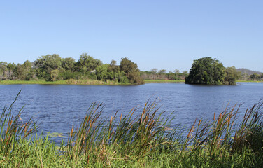 View of Lake Callemondah with water, an island and reeds in the foreground at Gladstone,...
