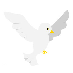 white dove bird pigeon illustration isolated on white and transparent background. white bird animal flat style vector