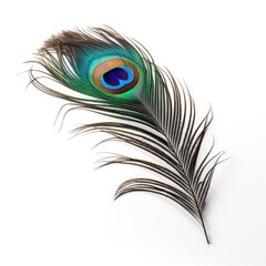 Obraz premium Photo of Peacock feather isolated on white background