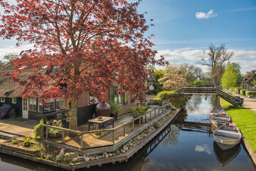 Obraz premium Giethoorn Netherlands, city skyline at canal and traditional house in Giethoorn village