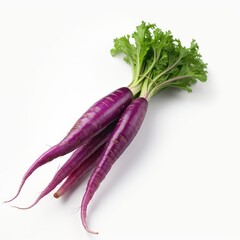 Photo of purple carrot  isolated on white background