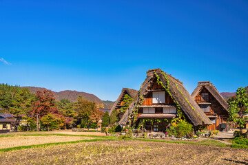 Shirakawago village Gifu Japan, Historical Japanese traditional Gassho house at Shirakawa village in autumn foliage season