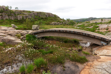 Small wooden bridge on the tourist route to Preikestolen rock. Norway. Europe