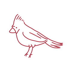 illustration of a red lline bird