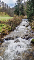 River in the black forest