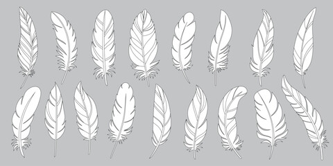 Feathers of birds set vector illustration. Bird feathers of different shapes, feathers icon set. Different bird wing part used for fabric and scrapbooking on grey background.