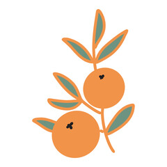 funny orange fruit