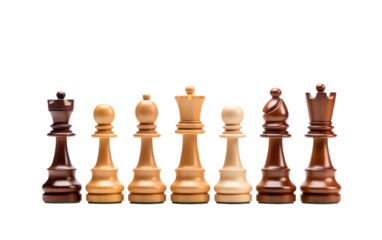 Classic Wooden Chess Set in Isolation on White Background