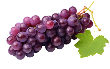 Fototapeta premium White Background Cluster of Grapes Isolation