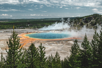 High view of the multicolored waters of the Grand Prismatic Spring