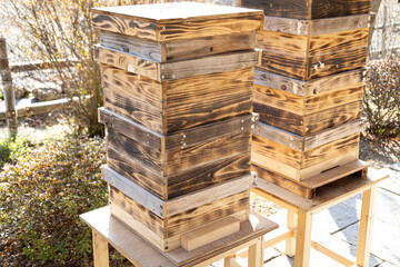 手作りのニホンミツバチの重箱式巣箱 - obrazy, fototapety, plakaty