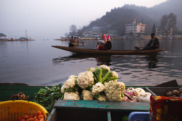Dal is a lake in Srinagar, It is integral to tourism and recreation in the Kashmir valley and is...