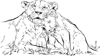 lion with a cub