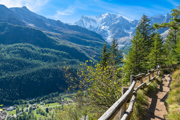 Trail in nature overlooking a beautiful valley with mountains and glaciers in summer. Italian Alps with Macugnaga and the majestic Monte Rosa, Anzasca valley, Piedmont, north Italy