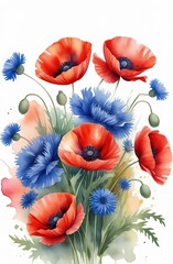 Poppies and cornflowers on a white background. Watercolor red poppy flowers and blue cornflower.