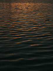 夕暮れ時の光を反射する水面
