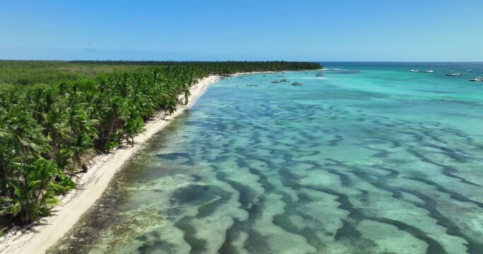 Paradise wild tropical island beach coast with palm trees jungle and caribbean sea, aerial panorama of exotic nature landscape 4k video