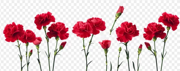 Foto op Plexiglas poppy flowers © Ahmad