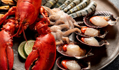Fresh seafood on a plate. Lobster, shellfish, prawns.