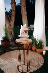 elegant white two-tiered wedding cake decorated with flowers on a small table against the backdrop of a wedding arch