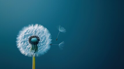  a dandelion blowing in the wind on a blue background with a single dandelion in the foreground and a single dandelion in the foreground.