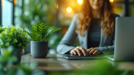 Natural Light Workspace Productivity in Tranquility