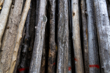 Lattari mountains, Amalfi coast, Salerno, Italy.
view of the forest with road used for excursions, adventure among the wood collected and piled up for use